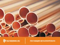 Труба бронзовая 53х12 мм БрО5Ц5С5 ГОСТ 24301-93