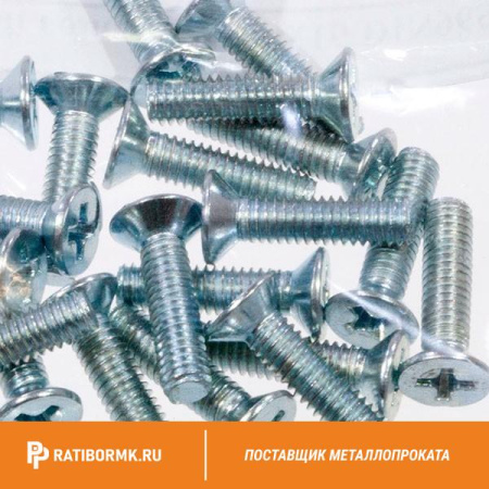 Винт нержавеющий М2,5х16 мм PH1 А4 DIN 965