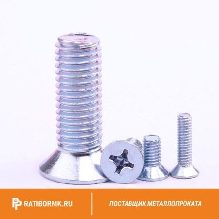 Винт нержавеющий М2,5х20 мм PH1 А4 DIN 965