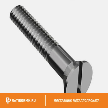 Винт нержавеющий М2,5х20 мм А4 DIN 963